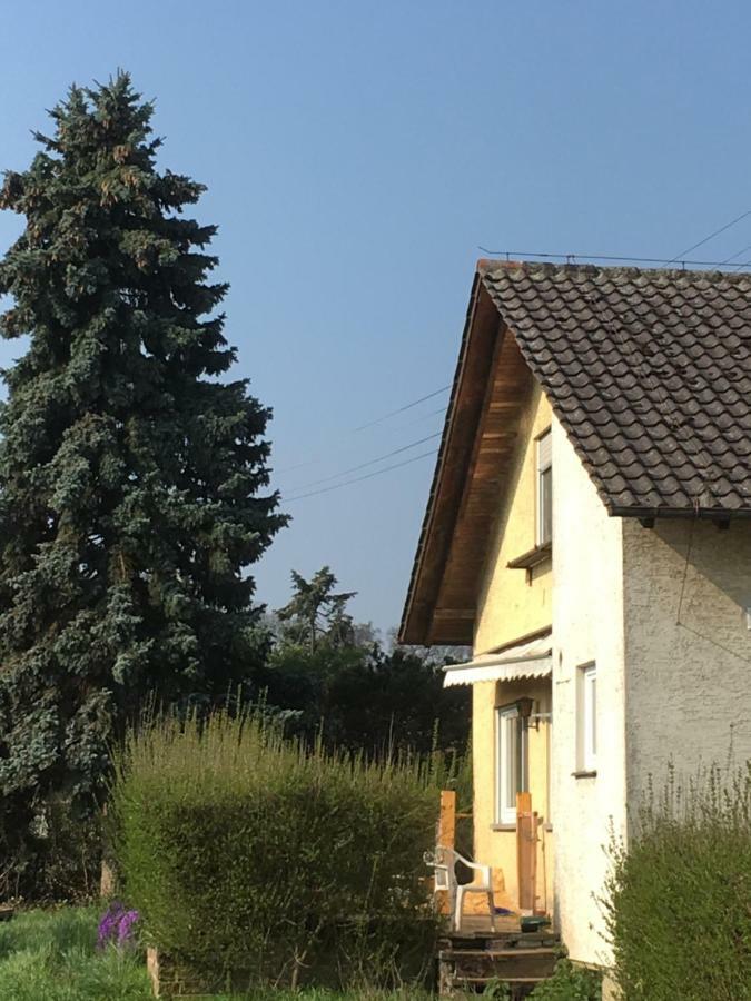 Riedwiesen Bad Rappenau Dış mekan fotoğraf